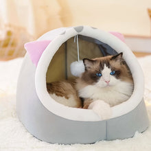 DreamPaws Bed