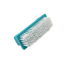 Multipurpose Scrubber Hard Brush with Handle (1 Pc / Small)